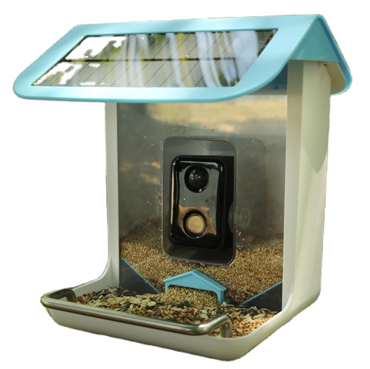 Bird Feeder Camera Wifi Smart Ai - Outdoor Wildlife Wifi Camera Capture Pictures