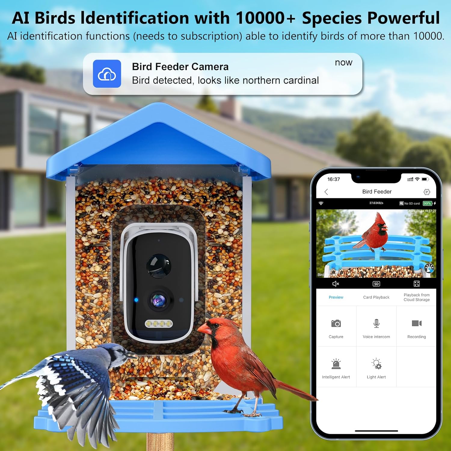 Bird Feeder Camera Wifi Smart Ai - Smart Bird Feeder with Camera AI
