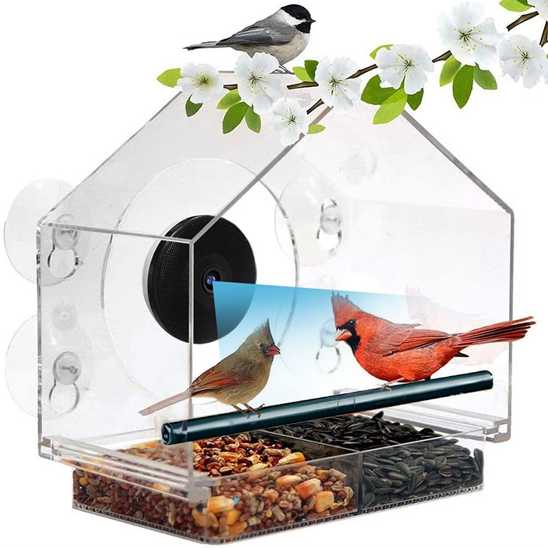 Bird Feeder Camera Wifi Smart Ai - AI Bird Recognition Smart Bird Feeder