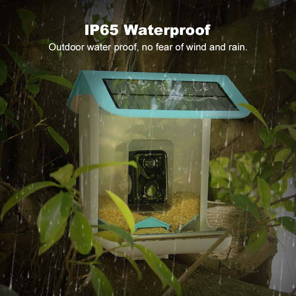 Outdoor Wildlife Wifi Camera C - đánh giá và giá Bird Feeder Camera Wifi Smart Ai