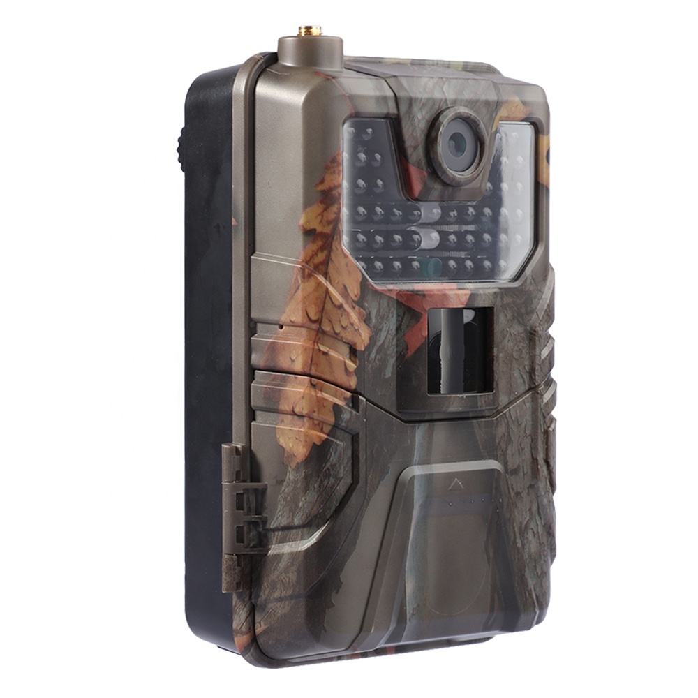 SuntekCam HC-900LTE 4G Trail C - đánh giá và giá Trail Camera 4K 48Mp Cellular 4G