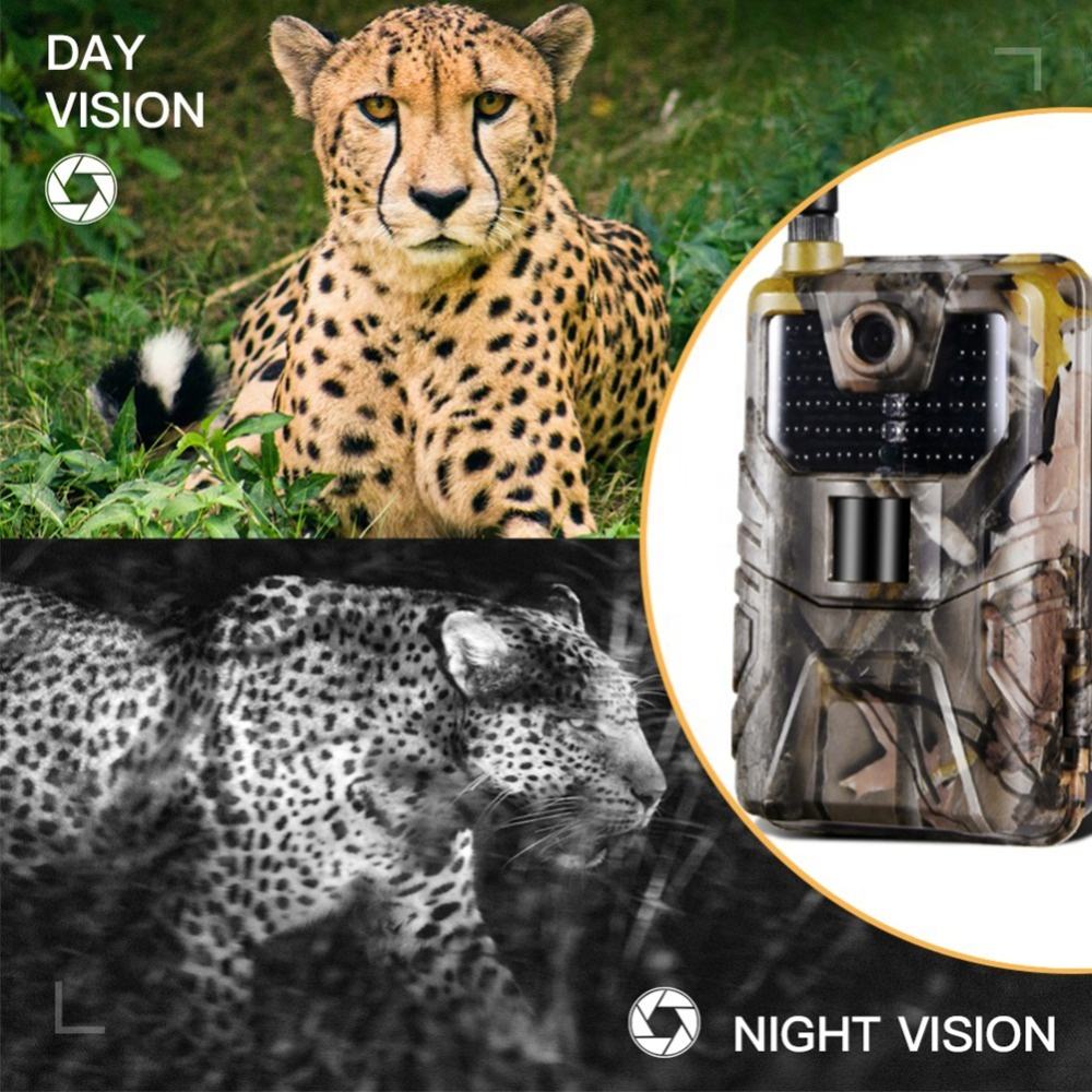 SuntekCam HC-900LTE 4G Trail C - đánh giá và giá Trail Camera 4K 48Mp Cellular 4G