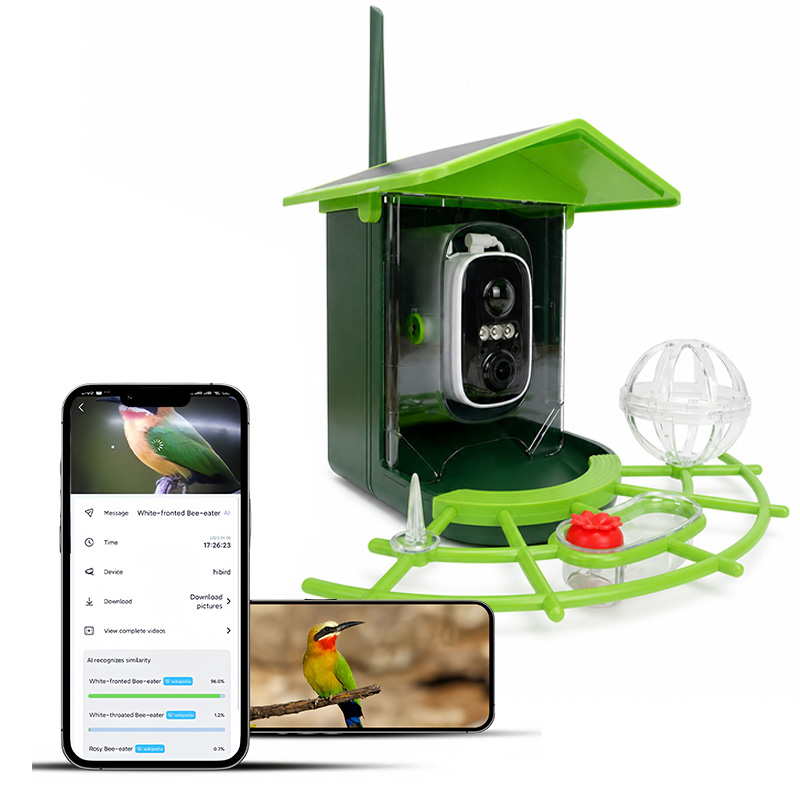 Smart WiFi Camera Solar Bird F - đánh giá và giá Bird Feeder Camera Wifi Smart Ai