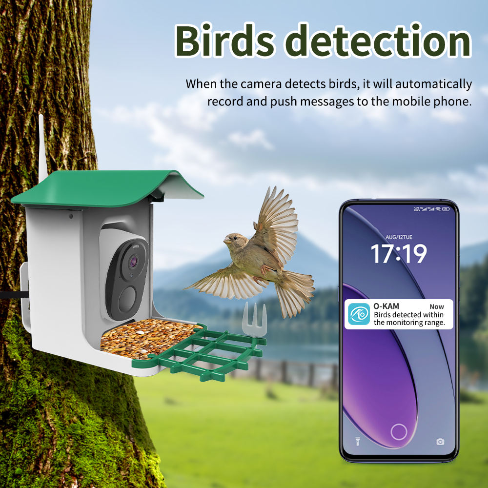 OEM 3MP O-KAM WIFI Color Night - đánh giá và giá Bird Feeder Camera Wifi Smart Ai