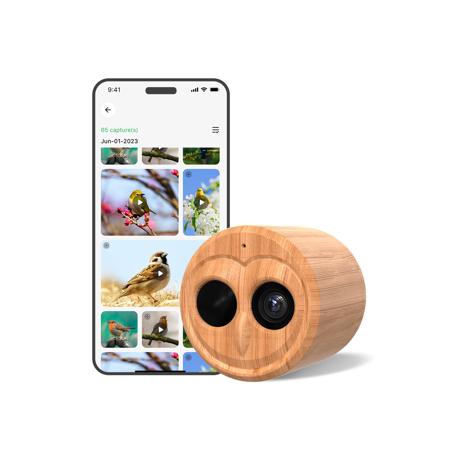 4K Smart Bird Feeder With Came - đánh giá và giá Bird Feeder Camera Wifi Smart Ai