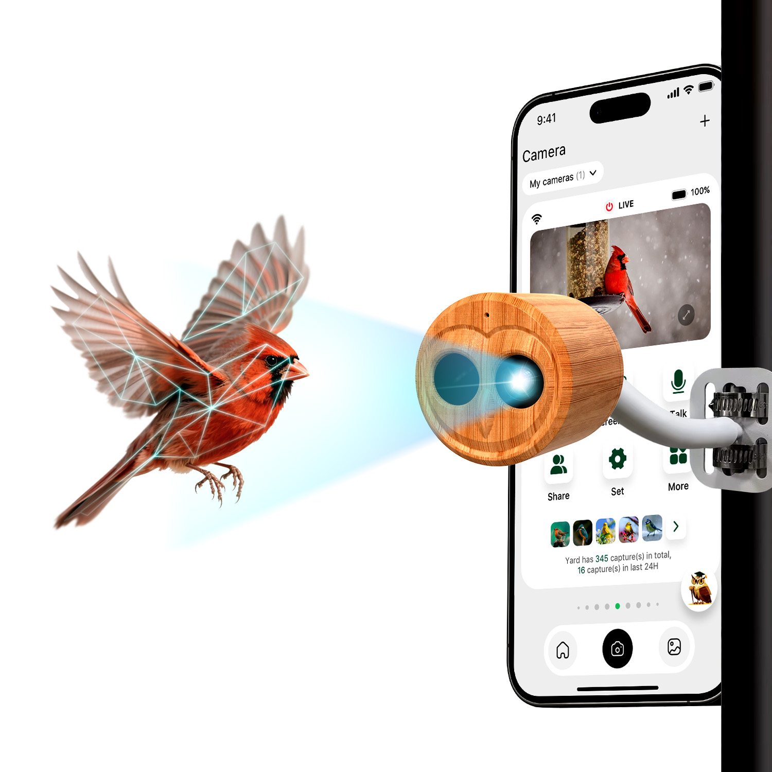 4K Smart Bird Feeder With Came - đánh giá và giá Bird Feeder Camera Wifi Smart Ai