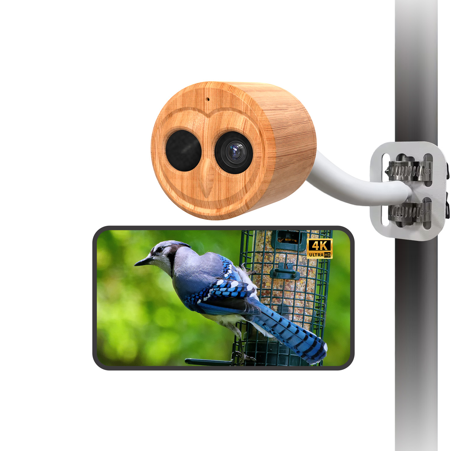 4K Smart Bird Feeder With Came - đánh giá và giá Bird Feeder Camera Wifi Smart Ai