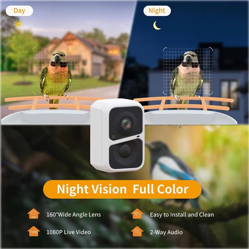 2L IP66 AI Smart Bird Feeder W - đánh giá và giá Bird Feeder Camera Wifi Smart Ai