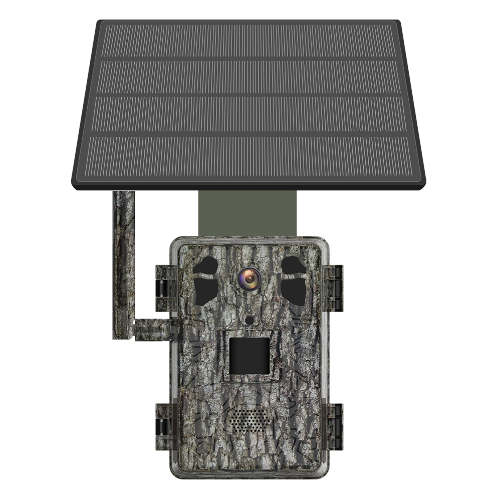 Cell Cellular 4G LTE Deer Live - đánh giá và giá Cellular Trail Camera Live Stream