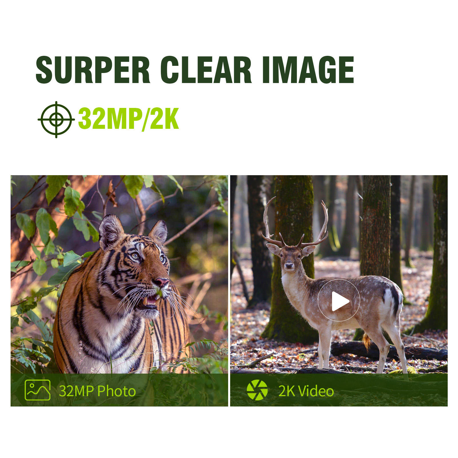 Keepguard 2K Cellular Trail Ca - đánh giá và giá Cellular Trail Camera Live Stream