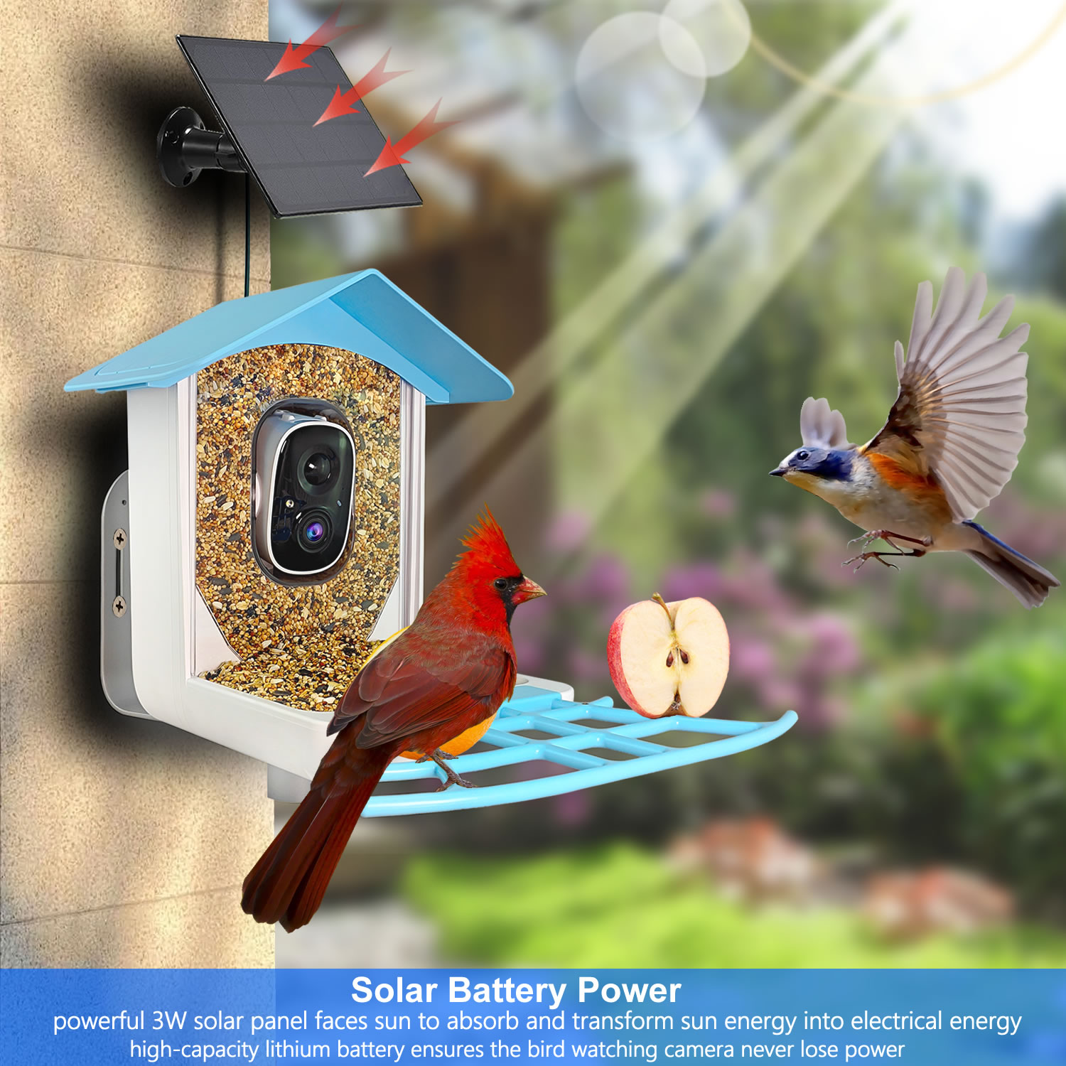 New Outdoor Wireless Smart AI  - đánh giá và giá Bird Feeder Camera Wifi Smart Ai