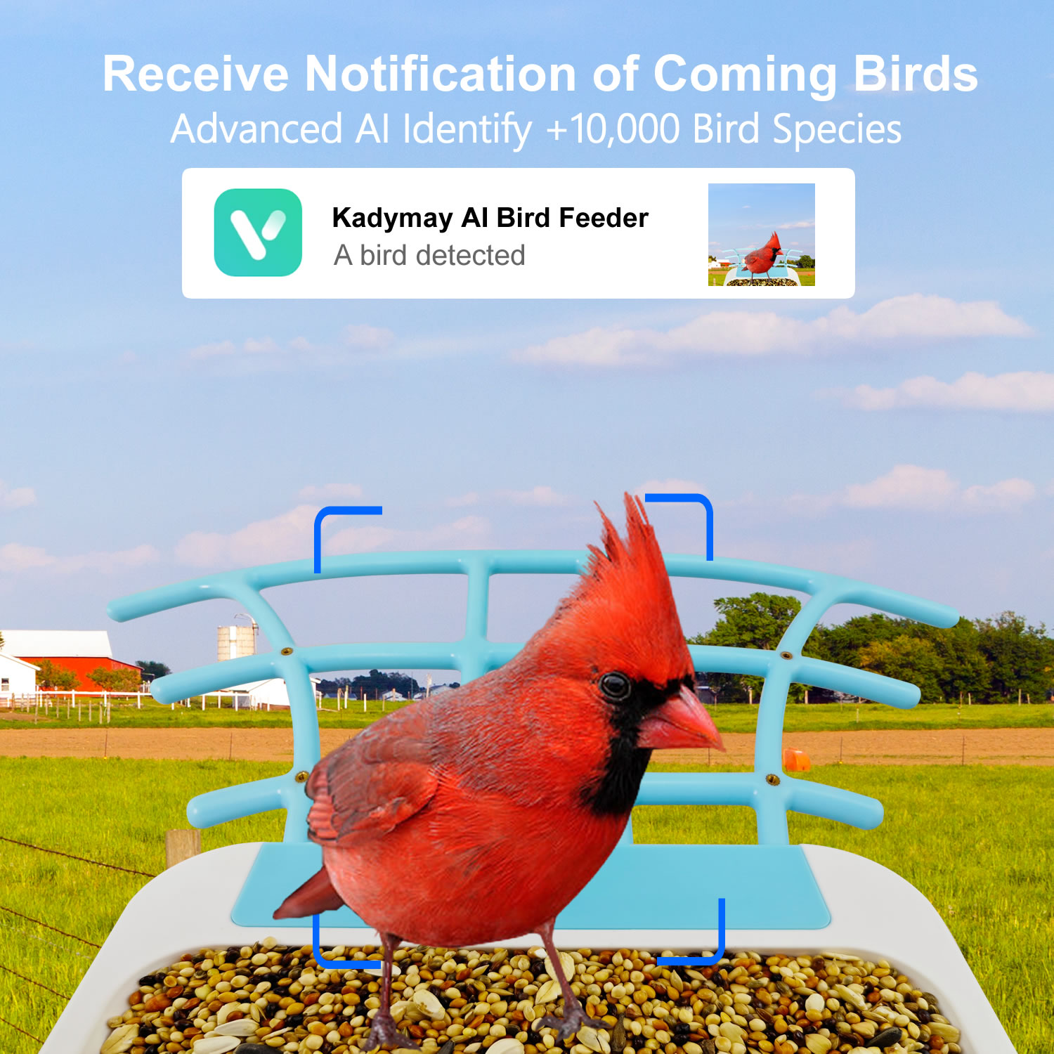 New Outdoor Wireless Smart AI  - đánh giá và giá Bird Feeder Camera Wifi Smart Ai