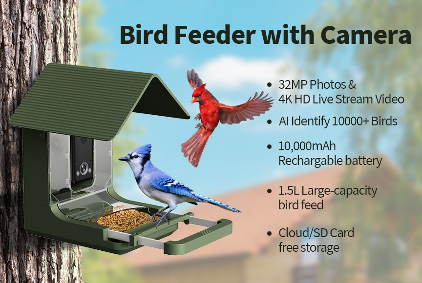 OEM Custom Waterproof 4K AI Sm - đánh giá và giá Bird Feeder Camera Wifi Smart Ai