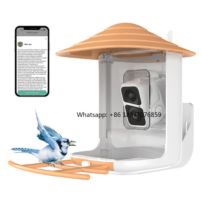 2026 2L IP66 AI Smart Bird Fee - đánh giá và giá Bird Feeder Camera Wifi Smart Ai