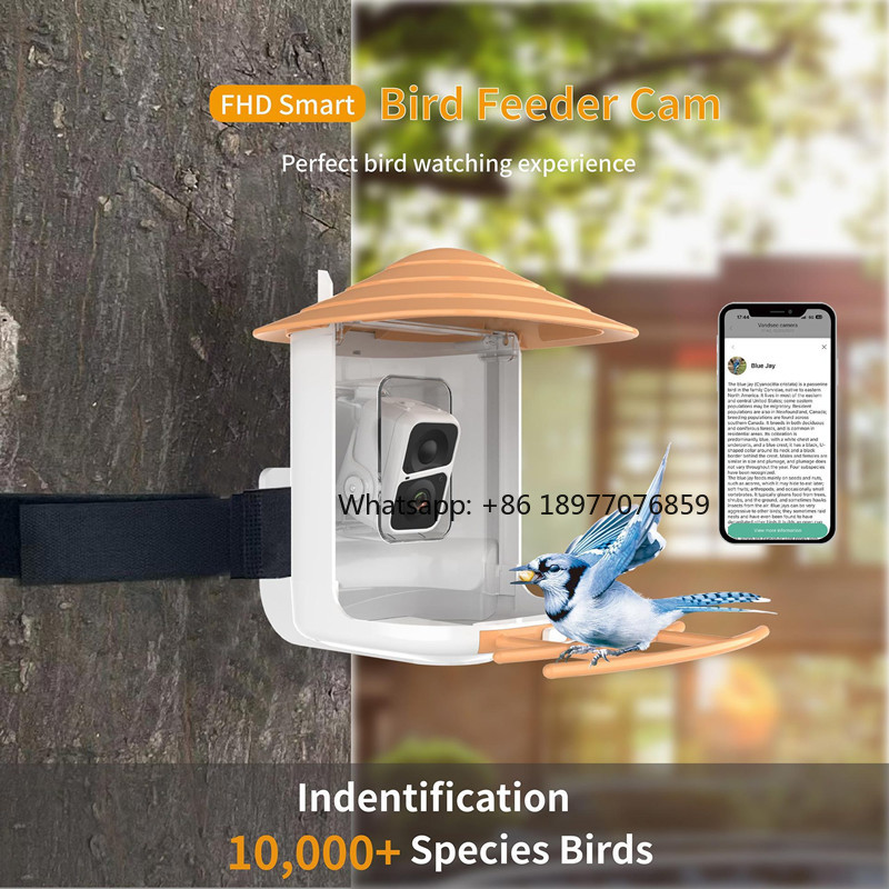 2026 2L IP66 AI Smart Bird Fee - đánh giá và giá Bird Feeder Camera Wifi Smart Ai