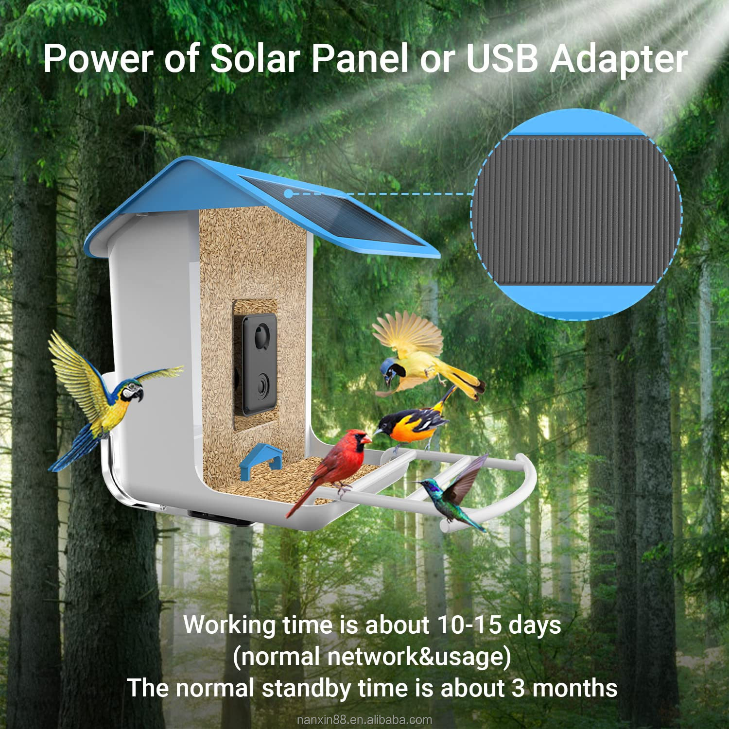 Smart Bird Feeder, 1080P HD Ca - đánh giá và giá Bird Feeder Camera Wifi Smart Ai
