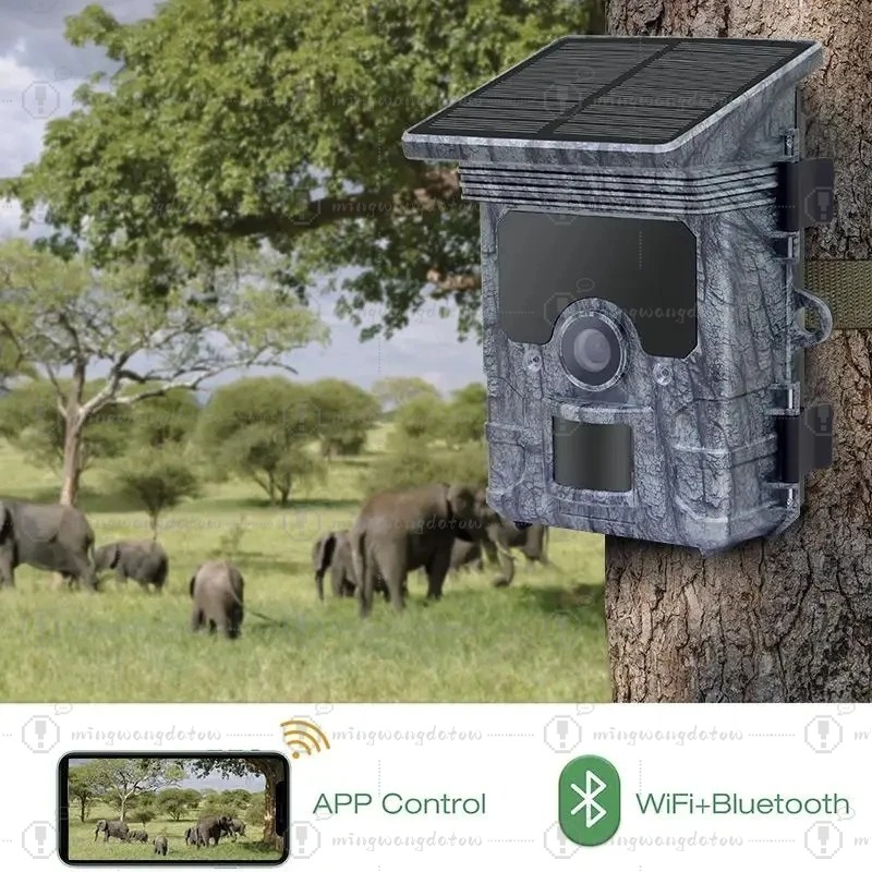 Hunting Camera  4K  WiFi Solar - đánh giá và giá Trail Camera Solar Panel Powered