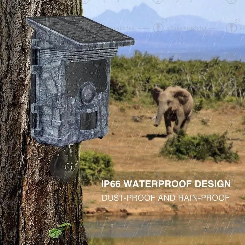 Hunting Camera  4K  WiFi Solar - đánh giá và giá Trail Camera Solar Panel Powered