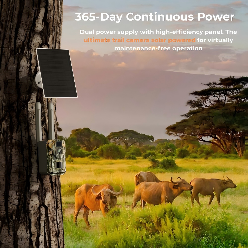 4G LTE Cellular Trail Camera 4 - đánh giá và giá Hunting Game Camera Night Vision No Glow