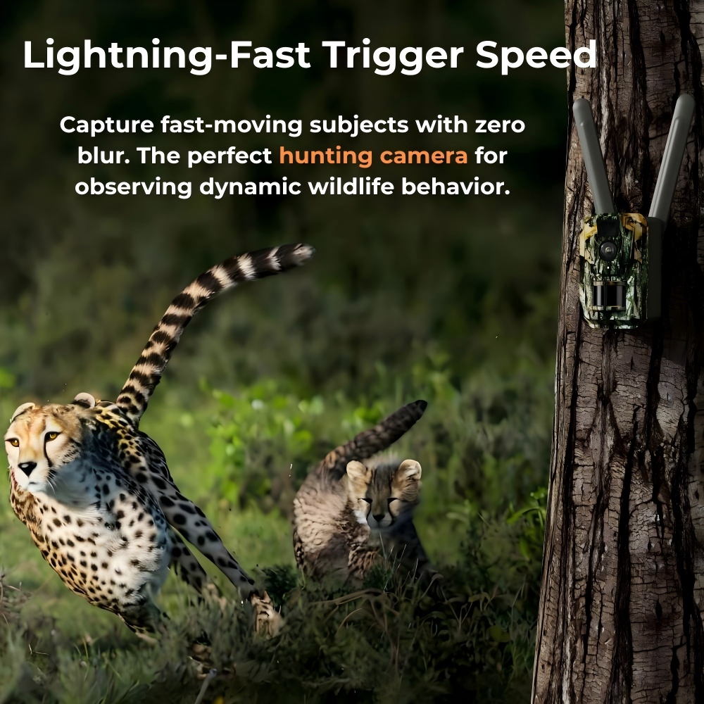 4G LTE Cellular Trail Camera 4 - đánh giá và giá Hunting Game Camera Night Vision No Glow