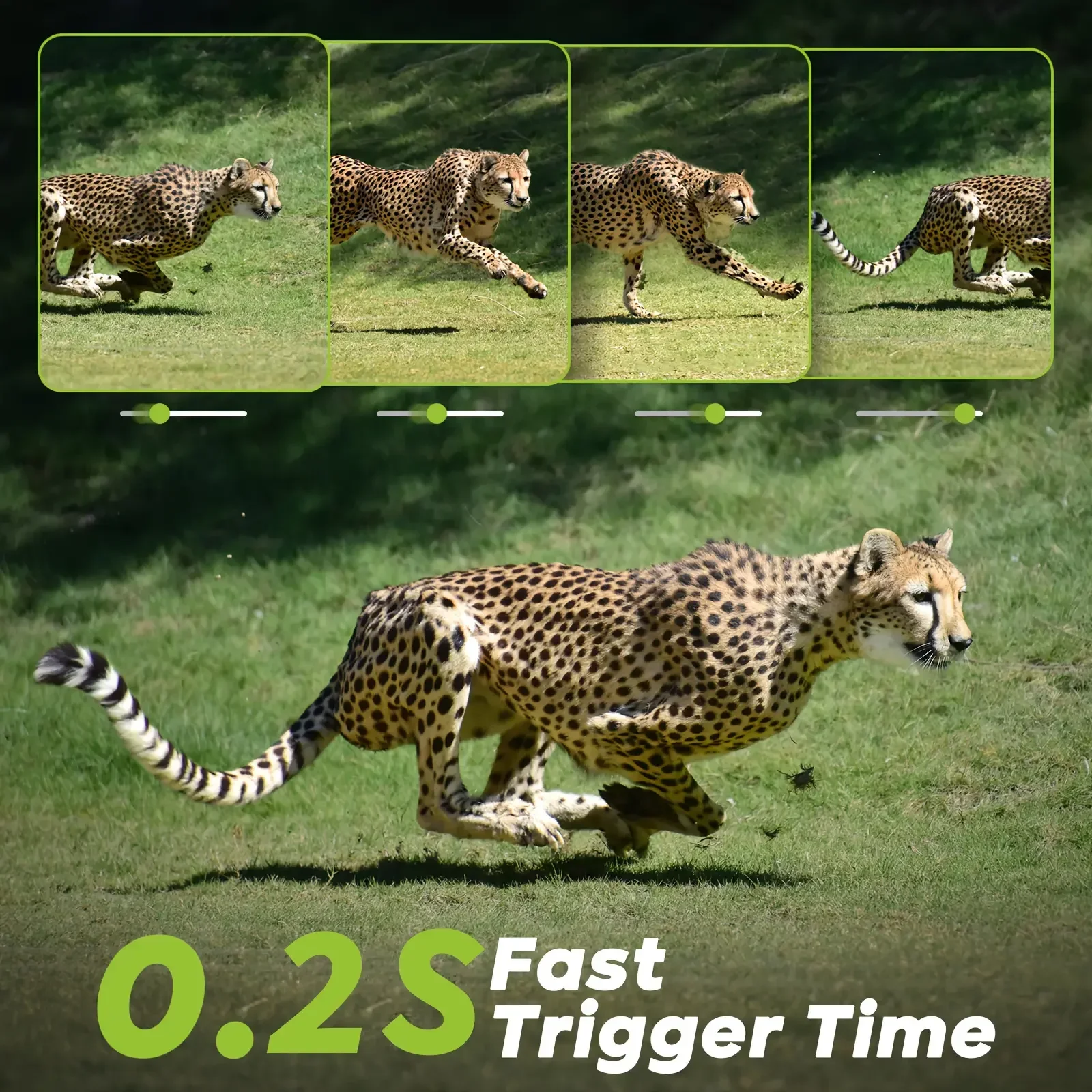 4G LTE Cellular Trail Camera 8 - đánh giá và giá Hunting Game Camera Night Vision No Glow