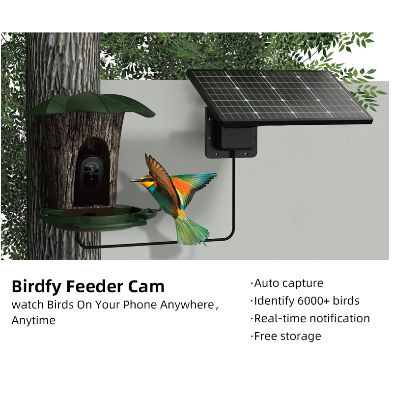 RS1 Bird Identification Camera - đánh giá và giá Bird Feeder Camera Wifi Smart Ai