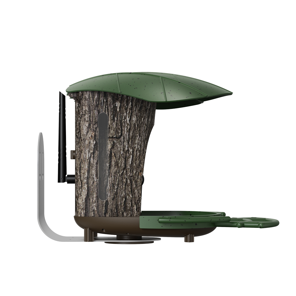 RS1 Bird Identification Camera - đánh giá và giá Bird Feeder Camera Wifi Smart Ai