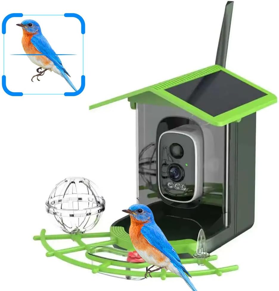 Real Time Bird watching WIFI A - đánh giá và giá Bird Feeder Camera Wifi Smart Ai