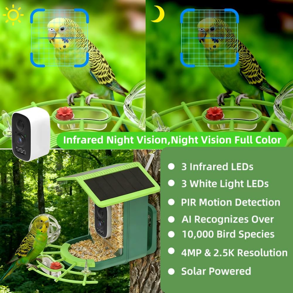 Real Time Bird watching WIFI A - đánh giá và giá Bird Feeder Camera Wifi Smart Ai