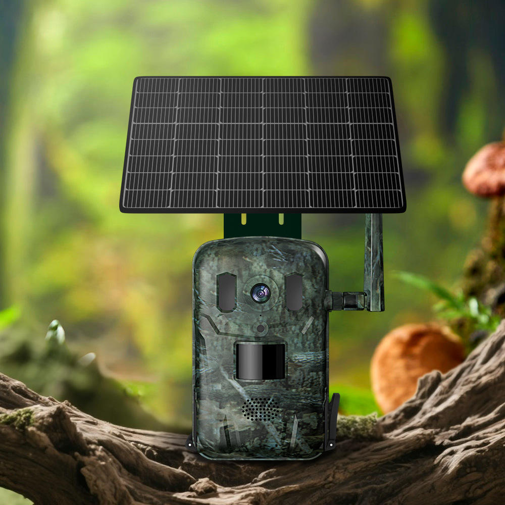 4G LTE Cellular Trail Camera 2 - đánh giá và giá Cellular Trail Camera Live Stream