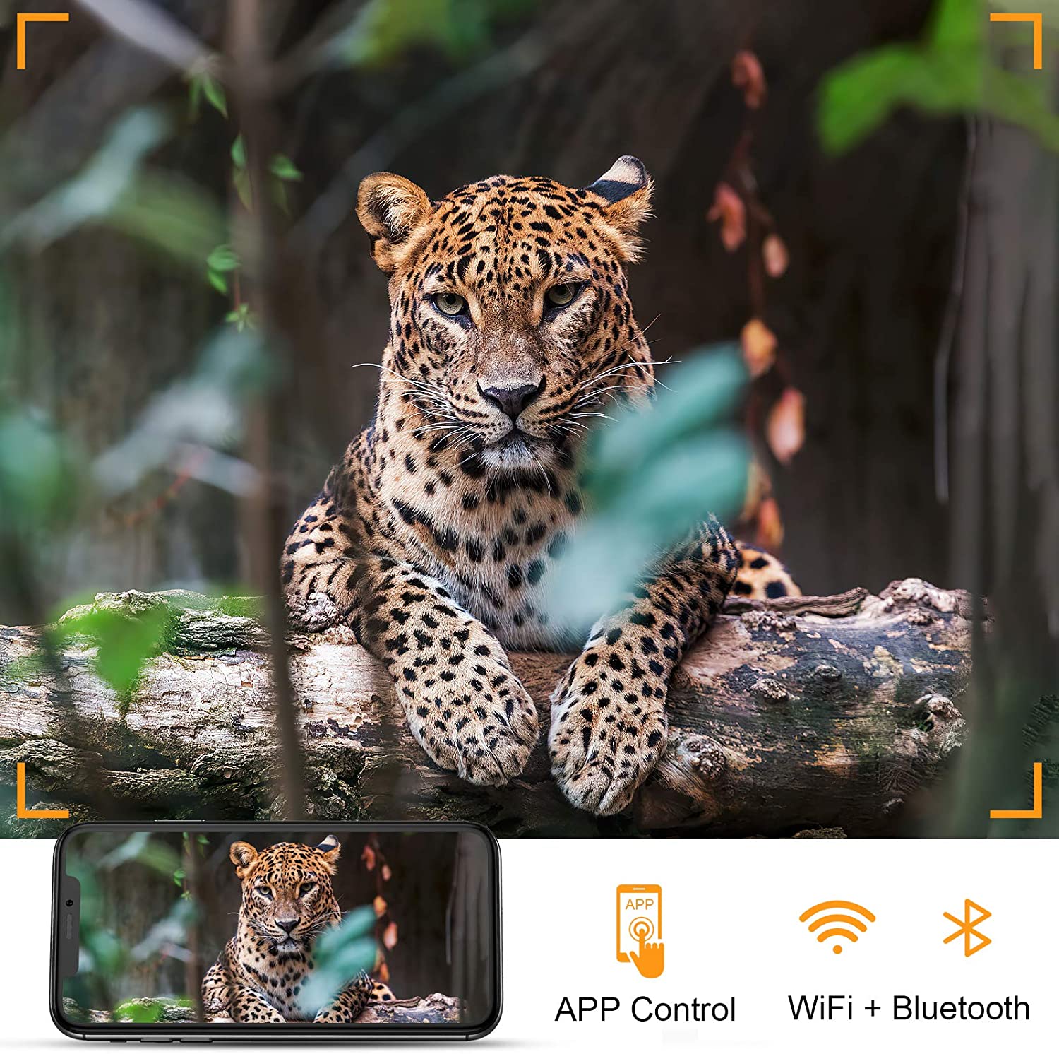 4K WIFI Sống Dòng Săn Máy Ảnh  - đánh giá và giá Trail Camera Wifi Bluetooth App Control