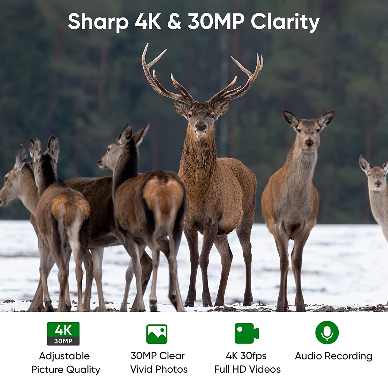 4K WIFI Sống Dòng Săn Máy Ảnh  - đánh giá và giá Trail Camera Wifi Bluetooth App Control