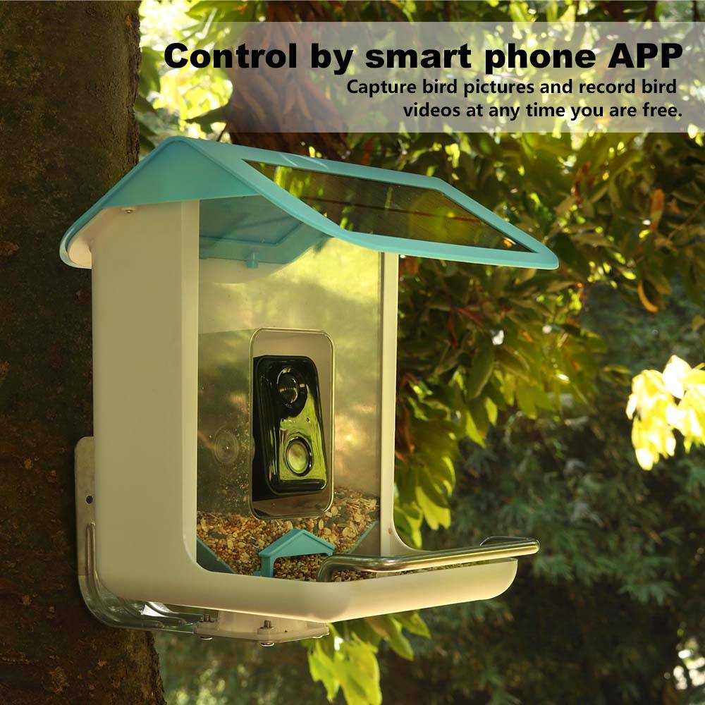 Wildlife Wifi Camera AI Recogn - đánh giá và giá Bird Feeder Camera Wifi Smart Ai