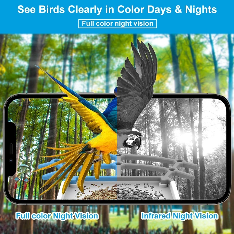 AI Bird Smart Feeder Camera 5. - đánh giá và giá Bird Feeder Camera Wifi Smart Ai