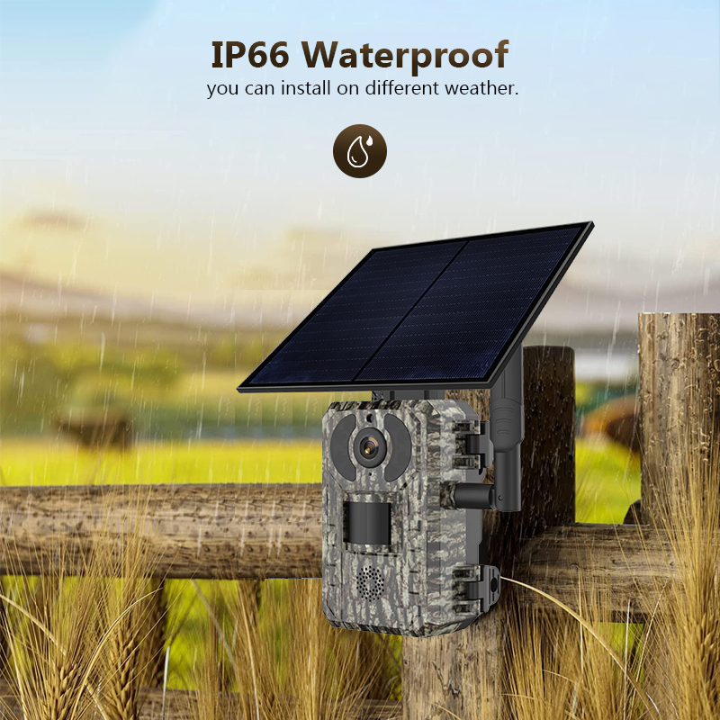 4G 4MP Outdoor Wildlife Huntin - đánh giá và giá Trail Camera Solar Panel Powered