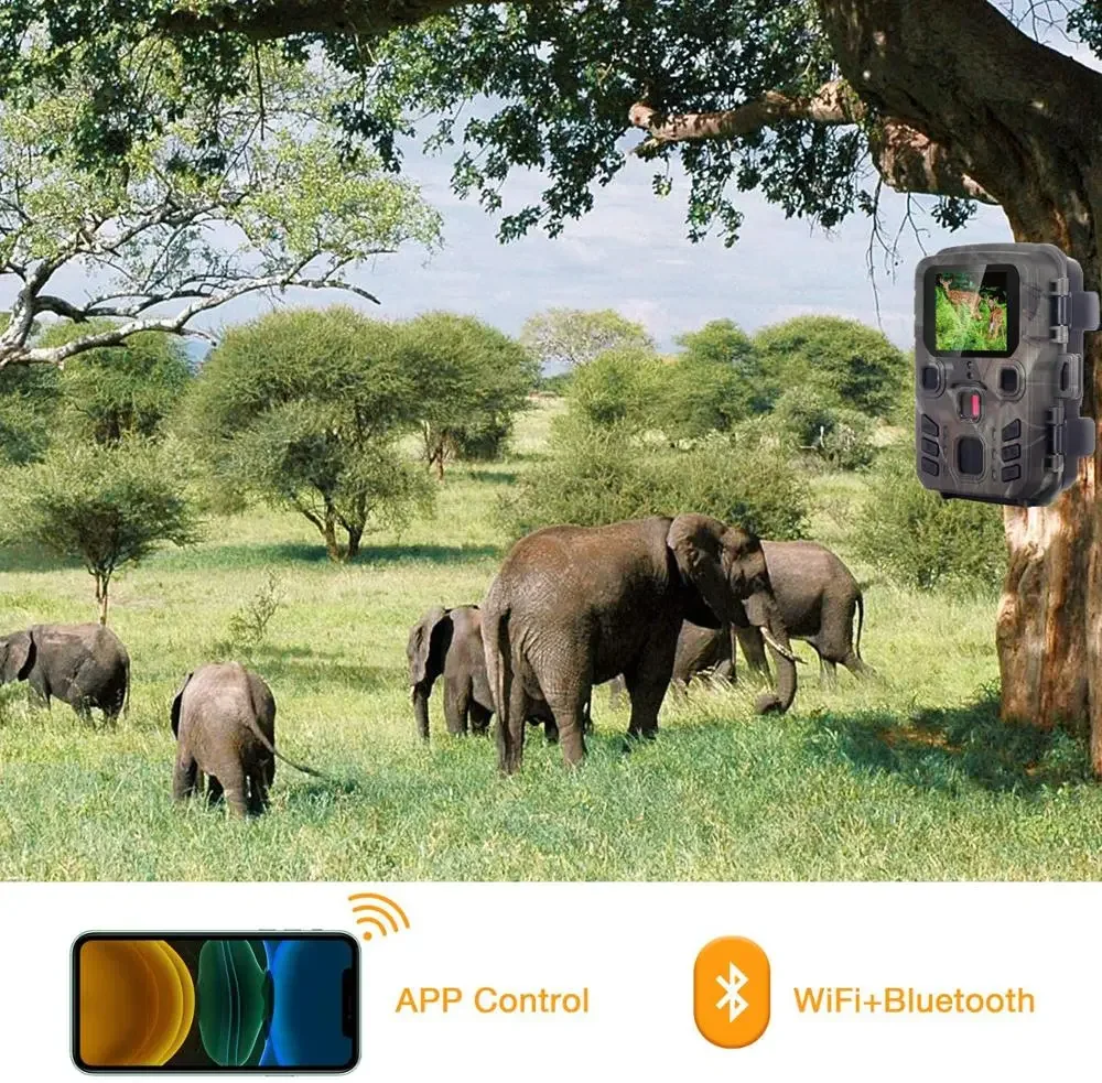 WiFi301 Trail Camera Wireless  - đánh giá và giá Trail Camera Wifi Bluetooth App Control