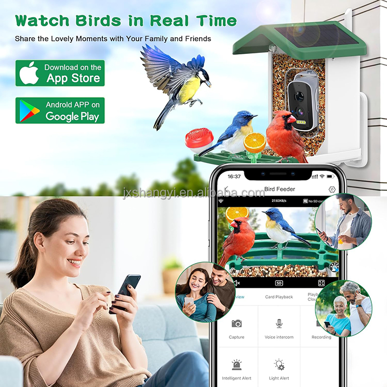 OEM Auto Identifier Live View  - đánh giá và giá Bird Feeder Camera Wifi Smart Ai
