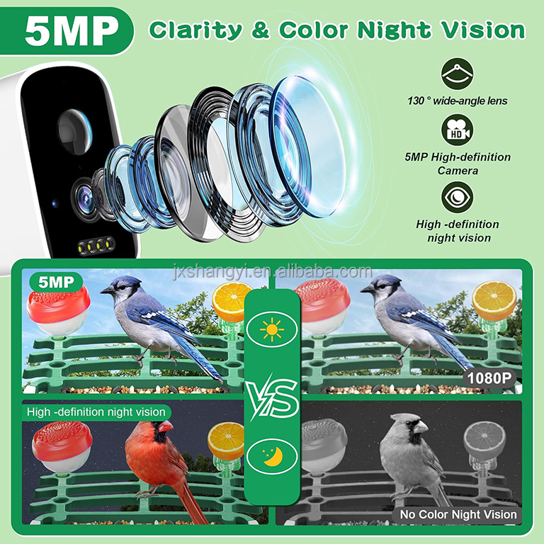 OEM Auto Identifier Live View  - đánh giá và giá Bird Feeder Camera Wifi Smart Ai