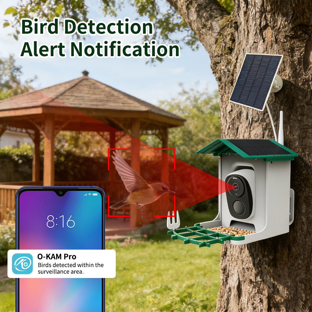 Smart Bird Feeder, Solar HD Co - đánh giá và giá Bird Feeder Camera Wifi Smart Ai