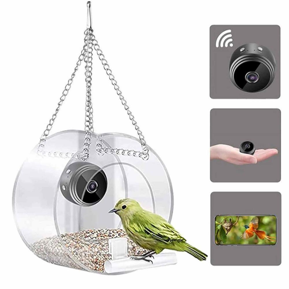 Smart Bird Feeder & Camera Out - đánh giá và giá Bird Feeder Camera Wifi Smart Ai