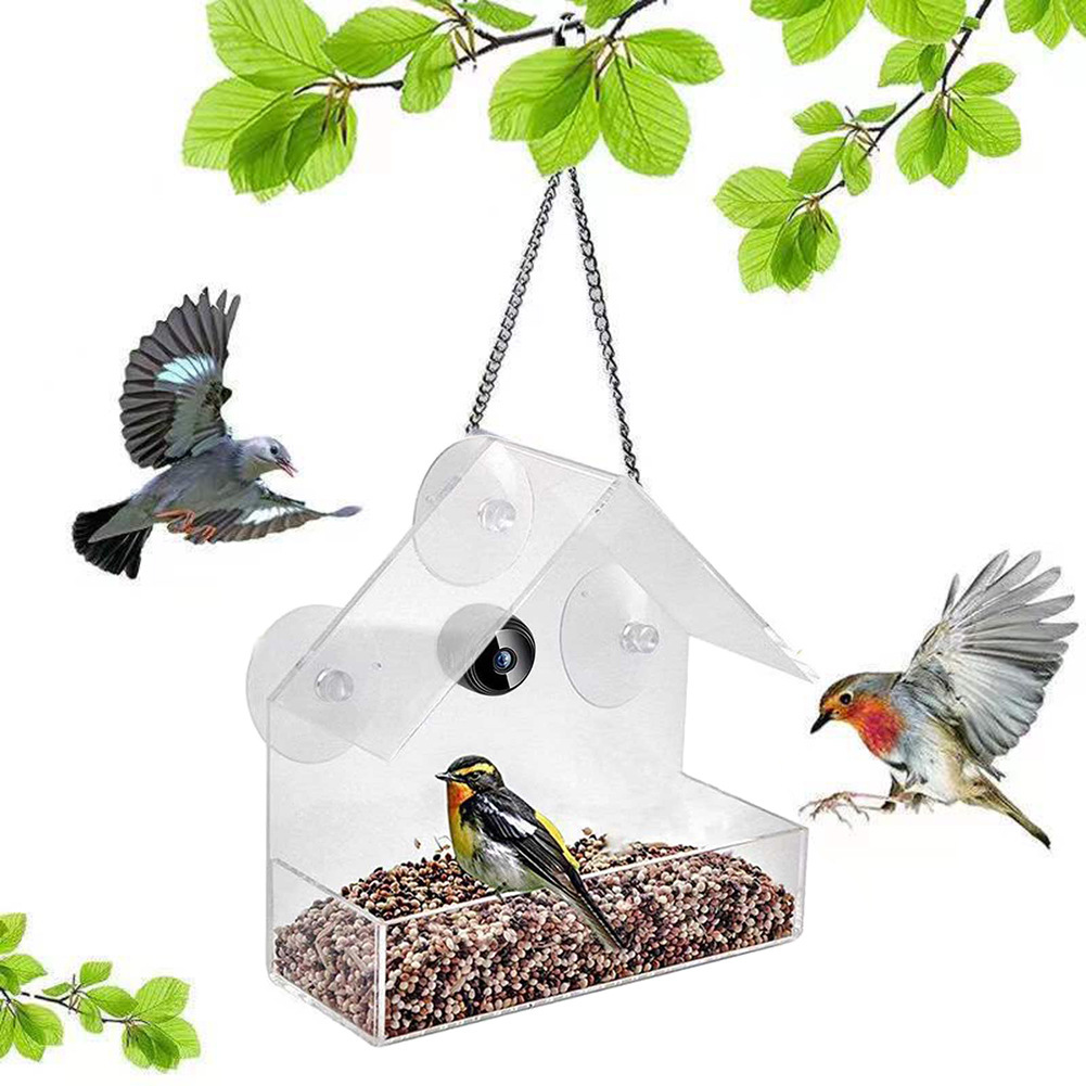 Smart Bird Feeder & Camera Out - đánh giá và giá Bird Feeder Camera Wifi Smart Ai