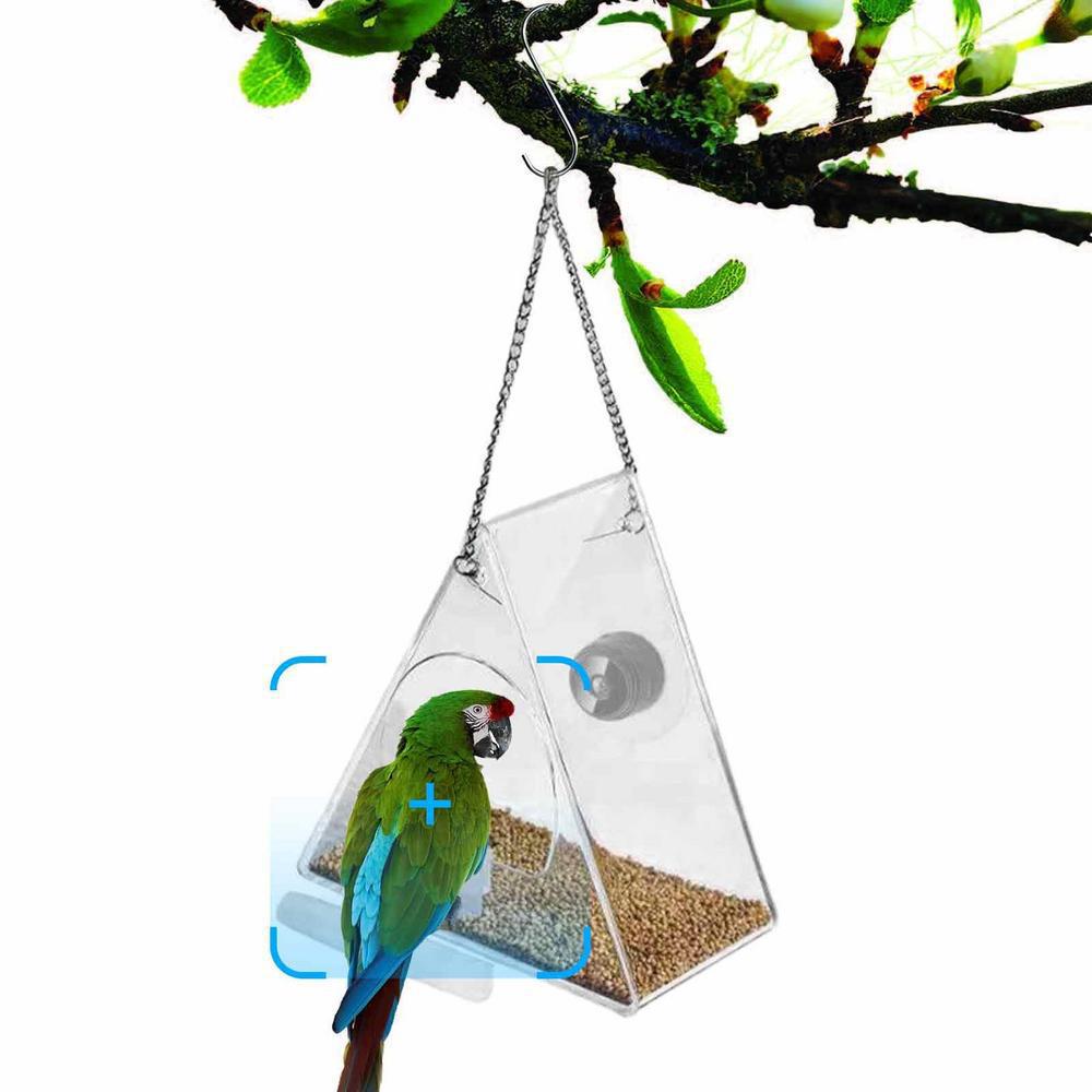 Smart Bird Feeder & Camera Out - đánh giá và giá Bird Feeder Camera Wifi Smart Ai