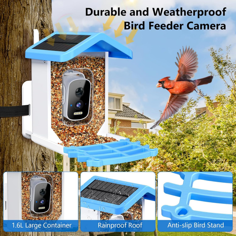 WiFi Smart Bird Feeder with Ca - đánh giá và giá Bird Feeder Camera Wifi Smart Ai