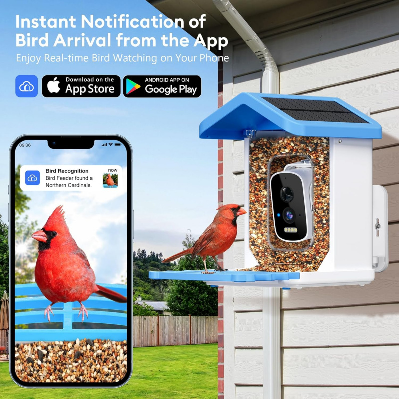 WiFi Smart Bird Feeder with Ca - đánh giá và giá Bird Feeder Camera Wifi Smart Ai