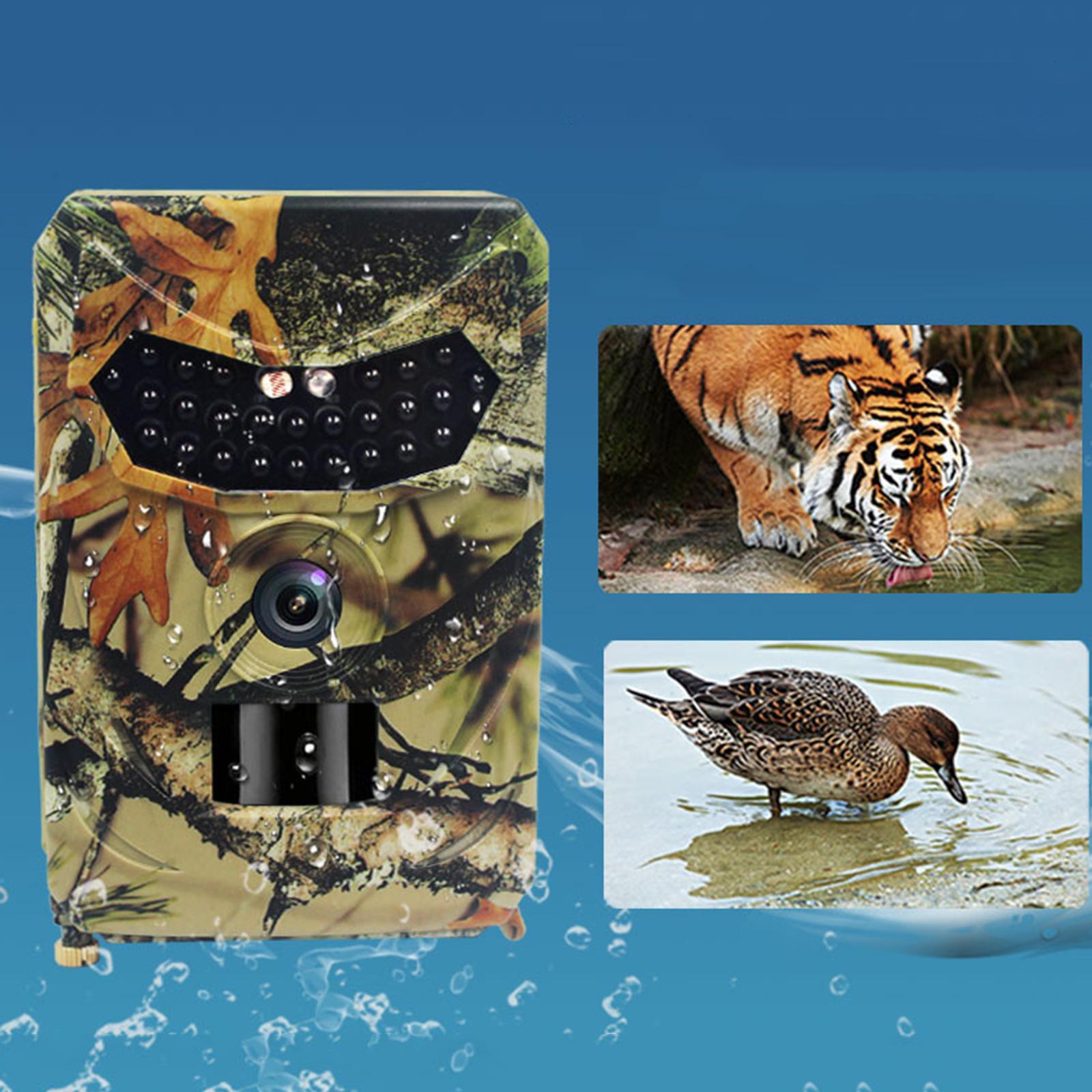 PR100 Trail Camera 940nm Night - đánh giá và giá Night Vision Trail Camera Infrared Leds