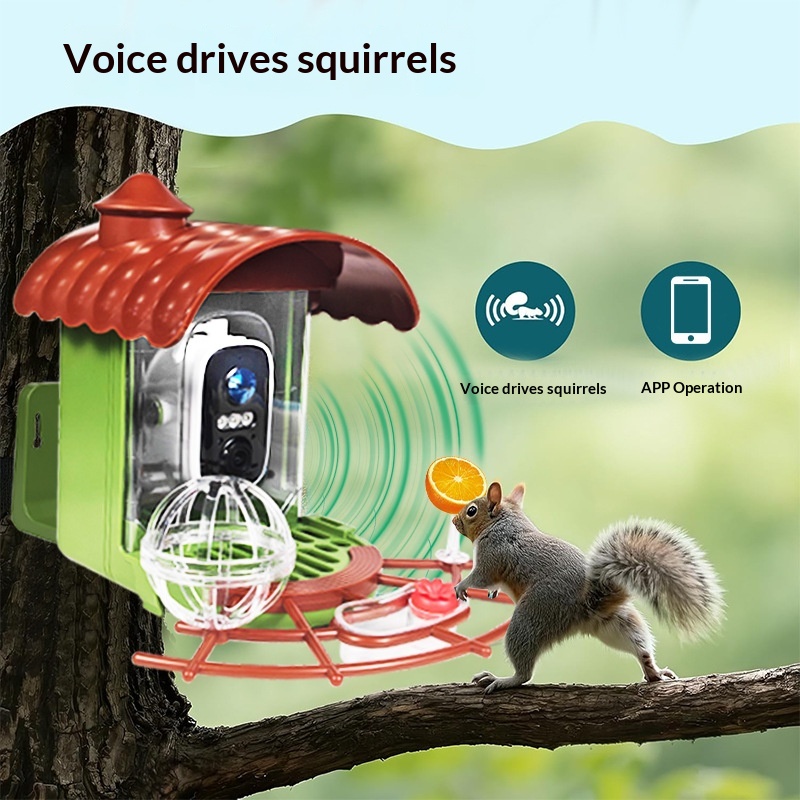Outdoor Solar-Powered Automati - đánh giá và giá Bird Feeder Camera Wifi Smart Ai