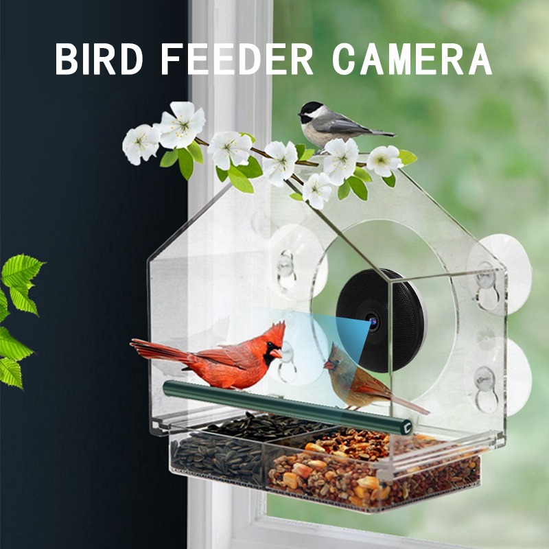 AI Bird Recognition Smart Bird - đánh giá và giá Bird Feeder Camera Wifi Smart Ai