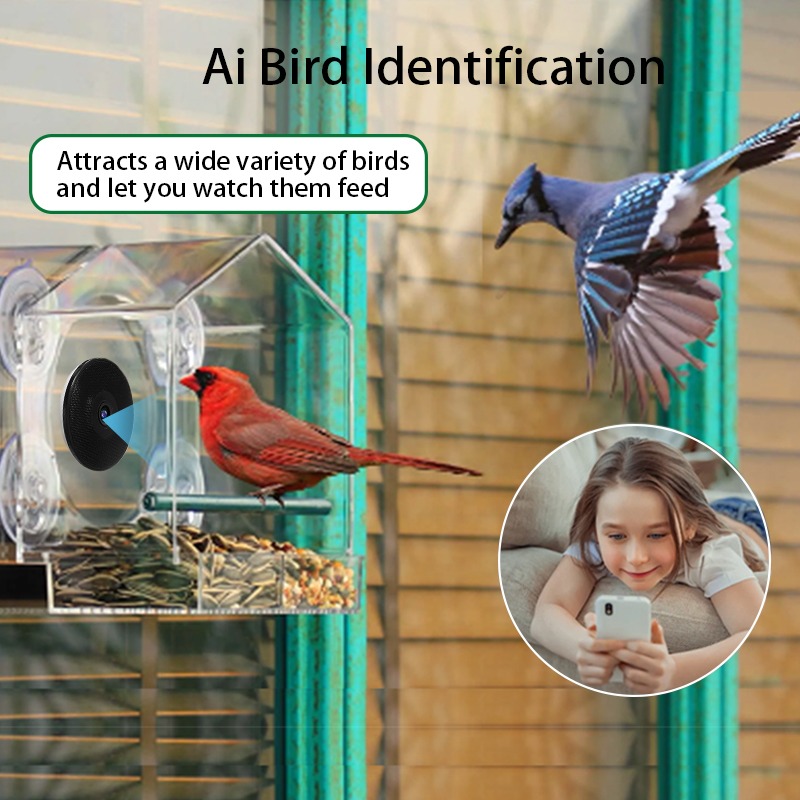 AI Bird Recognition Smart Bird - đánh giá và giá Bird Feeder Camera Wifi Smart Ai